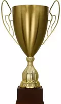 Victoria Sport Gold metalinis puodelis