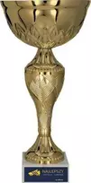 Victoria Sport Gold metalinis puodelis