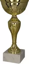 Victoria Sport Gold metalinis puodelis