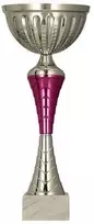 Victoria Sport Sidabrinis ir violetinis metalinis puodelis