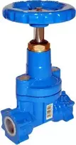 Aeon VANDENS VARTAI DN50 PN16 GW2" SU RATAIS.