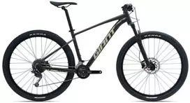 Kalnų dviratis Giant Talon 2 (GE), 29" | spalva: Phantom Green (X) | dydis: S