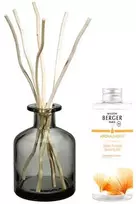 „Maison Berger Paris“ dovanų rinkinys „Aroma Energy“ difuzorius pilka + papildymas „Fresh Tonikas“, 200 ml