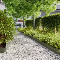 vejos apvadai 50 vnt Olive Žalias šaltai valcuotas plienas