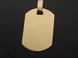 Auksinis pakabukas Plokštelė