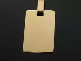 Auksinis pakabukas Plokštelė