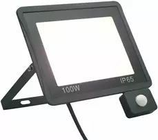 LED prožektorius su jutikliu, šaltos baltos spalvos, 100W