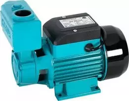 „Omnigena“ vandens siurblio hidroforas WZ 250 CW 230 V (OM-WZ-250 CW)