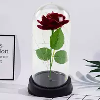 Lean Wieczna Amžina rožė kupole su LED apšvietimu, raudona, 21x11cm