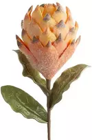 Eurofirany KW/FLORE/793/POM POMA