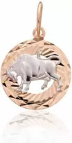 Auksinis pakabukas Zodiakas. Metalas: Raudonas/Baltas Auksas. Praba: 585° - 1.09 g. - 24 mm.