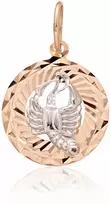Auksinis pakabukas Zodiakas. Metalas: Raudonas/Baltas Auksas. Praba: 585° - 1.08 g. - 24 mm.
