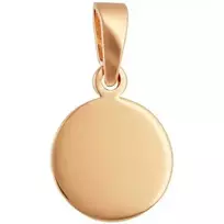 Auksinis pakabukas Brasco 58260