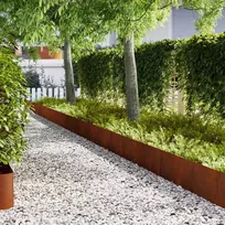 Vejo kraštas 50 pcs Rūdijanti 100 x 0,05 x 30 cm