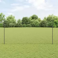Suvirinto vielos tvoros 100 x 1,6 m (P x A) PVC dengtas plienas
