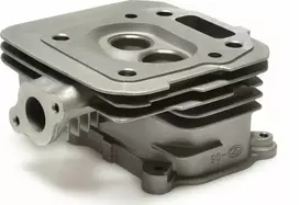 Benzininės vejapjovės cilindro galvutė G83052 Geko