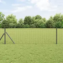 Euro tvora Pilka 0.8 x 10 m PVC padengta geležis