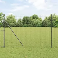 Euro tvora Juoda 1,6 x 10 m PVC padengta geležis