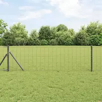 Euro tvora Pilka 0,4 x 25 m PVC padengta geležis