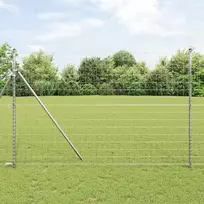 Euro tvora 1,6 x 10 m PVC padengta geležis