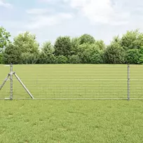 Euro tvora 0,6 x 25 m PVC padengta geležis