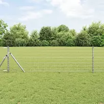 Euro tvora 0,8 x 25 m PVC padengta geležis