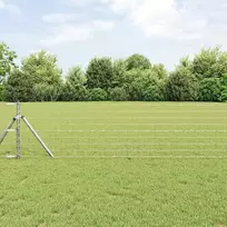 Euro tvora 0,6 x 10 m PVC padengta geležis
