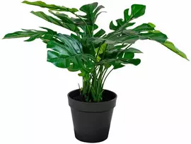 Jaukeja Monstera dirbtinis augalas 45 cm aukščio