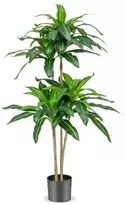 Promotions Dirbtinė dracena, 140 cm, žalia