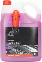 TomPar ANTIFREEZE AUTOSERIO G13 5L
