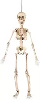 Dekoracija "Skeletas" (50cm)