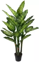 Dirbtinis augalas VĖJAS DIEFFENBACHIA H150cm
