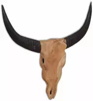 Prie sienos montuojama buliaus galva, 69x6x60cm, tikmedis