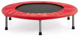 Promotions Mini batutas, 96,5 cm, raudona