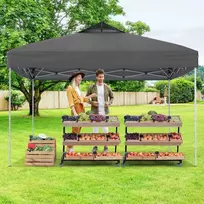 Promotions Lauko terasos pavėsinė, sulankstoma, 295x295 cm, pilka