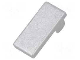 Cap for LED profiles | silver | ABS | Application: HI8 | Pcs: 2