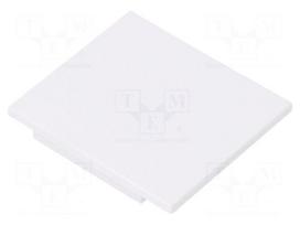 Cap for LED profiles | white | ABS | Application: VARIO30-03 | Pcs: 2