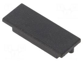 Cap for LED profiles | black | ABS | Application: VARIO30-01 | Pcs: 2