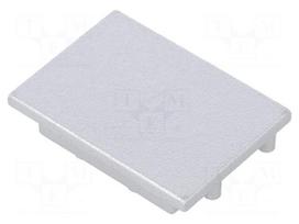 Cap for LED profiles | silver | ABS | Application: VARIO30-05 | Pcs: 2