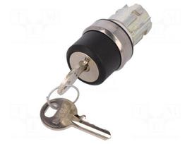 Switch: rotary with key | Stabl.pos: 2 | 22mm | silver | Illumin: none