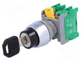 Switch: rotary with key | Stabl.pos: 3 | NO x2 | 3A/230VAC | 22mm | IP65