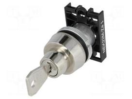 Switch: rotary with key | Stabl.pos: 2 | 22mm | grey | IP40 | Pos: 2