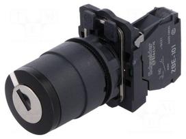 Switch: rotary with key | Stabl.pos: 2 | NO | 3A/240VAC | 0.55A/125VDC