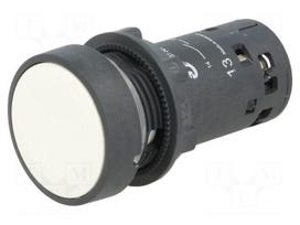 Switch: push-button | Stabl.pos: 1 | NO | 0.3A/240VAC | 0.1A/250VDC