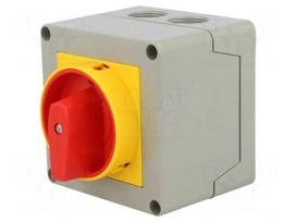 Switch: cam switch | Stabl.pos: 2 | 20A | 0-1 | Mounting: in housing