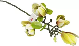 Artflow Dirbtinė magnolija 68 cm, balta
