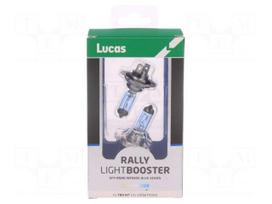 Filament lamp: automotive | PX26d | dark blue | 12V | 100W | RALLY | H7