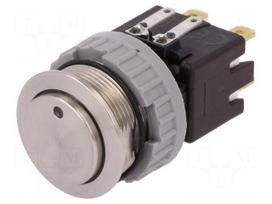 Switch: vandal resistant | Pos: 2 | DPST-NO | 12A/250VAC | 0.5A/125VDC