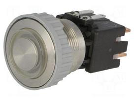 Switch: vandal resistant | Pos: 2 | DPST-NO | 12A/250VAC | 0.5A/125VDC