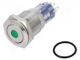 Switch: vandal resistant | DPDT | 3A/250VAC | IP67 | ON-(ON) | green